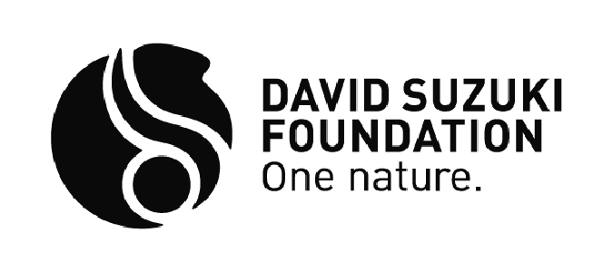 David Suzuki foundation logo
